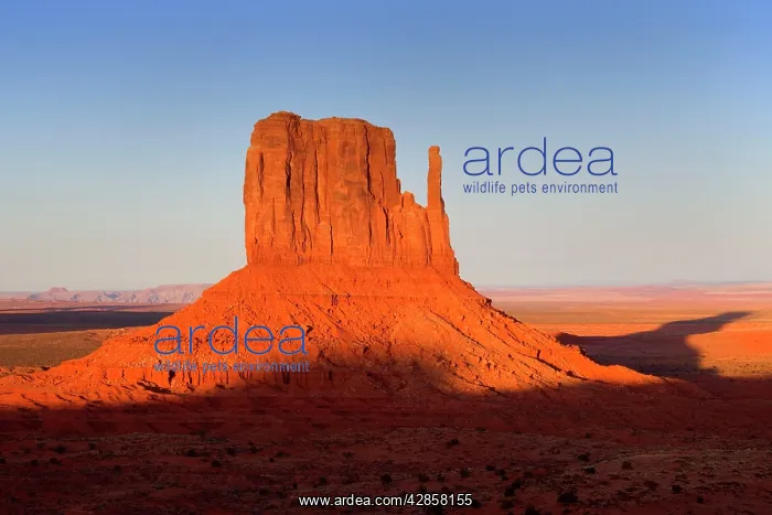 : Monument Valley - famous sandstone butte West Mitten : Monument Valley - famous sandstone butte West Mitten