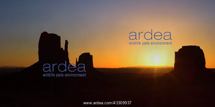: Monument Valley - famous sandstone pillars in Monument : Monument Valley - famous sandstone pillars in Monument