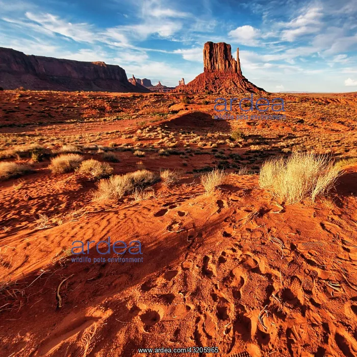 : Monument Valley, illuminated by the evening sun : Monument Valley, illuminated by the evening sun