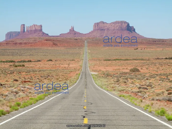 : Monument Valley - long straight road (US 163) leading : Monument Valley - long straight road (US 163) leading