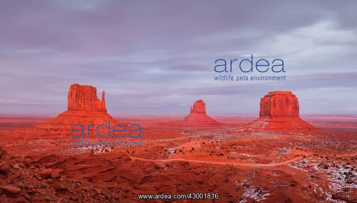 : Monument Valley with the Mittens and Merrick Butte : Monument Valley with the Mittens and Merrick Butte