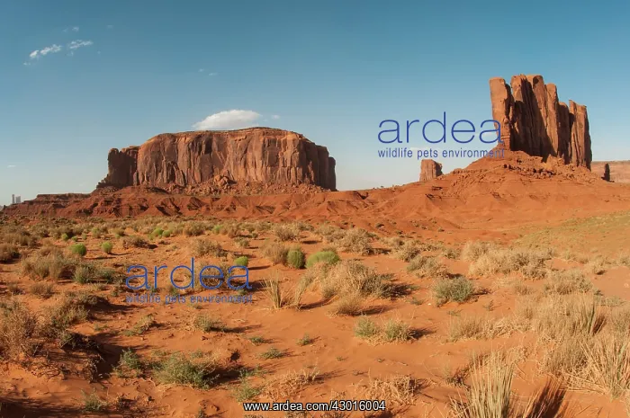: Monument Valley Navaho Tribal Park : Monument Valley Navaho Tribal Park