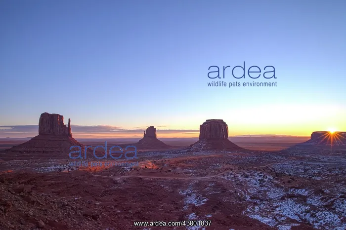: Monument Valley sunset with the Mittens and Merrick Butte : Monument Valley sunset with the Mittens and Merrick Butte