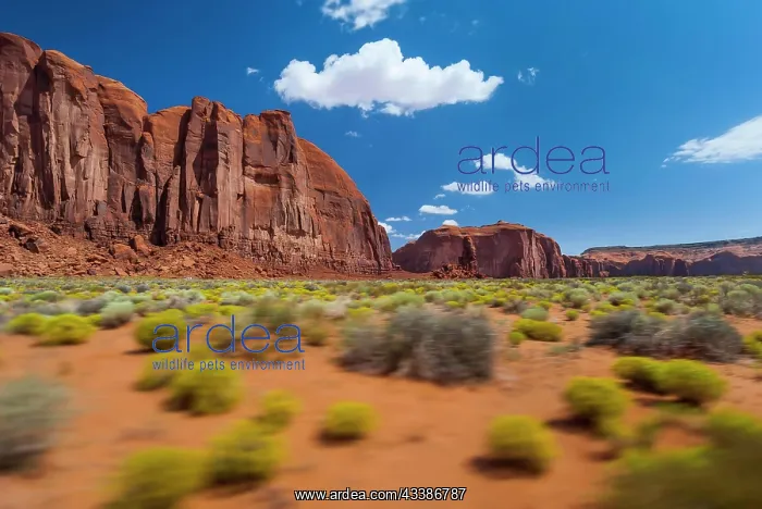 : Monument valley, west, western, film set, national : Monument valley, west, western, film set, national