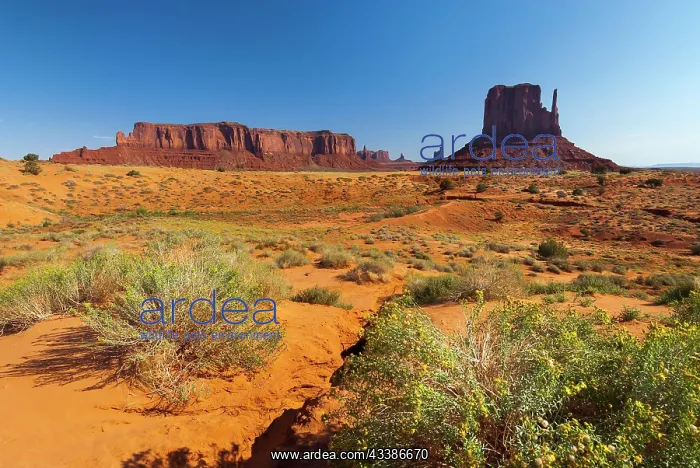 : Monument valley, West, Western, in Utah, USA, North : Monument valley, West, Western, in Utah, USA, North