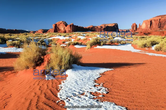 : Monument Valley in Winter, Table Mountains and Monolites : Monument Valley in Winter, Table Mountains and Monolites
