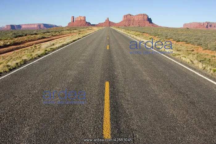: Monument Valley's the long straight road (US 163) : Monument Valley's the long straight road (US 163)