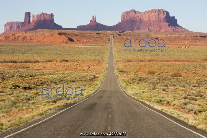 : Monument Valley's long straight road (US 163) leading : Monument Valley's long straight road (US 163) leading