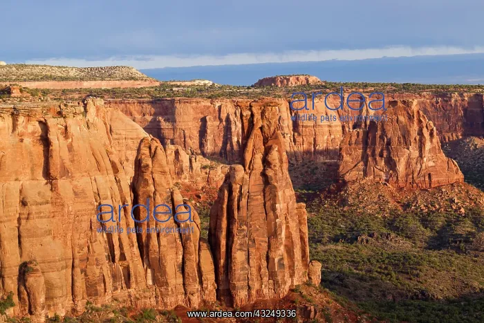 : Monuments at sunrise in the Colorado National : Monuments at sunrise in the Colorado National