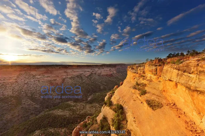 : Monuments at sunrise in the Colorado National : Monuments at sunrise in the Colorado National