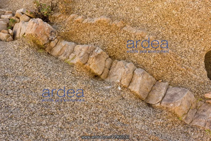 : Monzo-granite with intrusive sill : Monzo-granite with intrusive sill