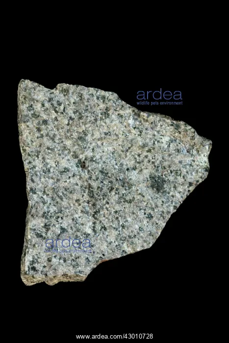  : Monzonite Wood County, Wisconsin, USA