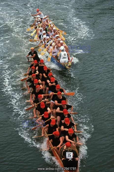 : Moomba Festival: dragon boat races.Mulitcultural : Moomba Festival: dragon boat races.Mulitcultural