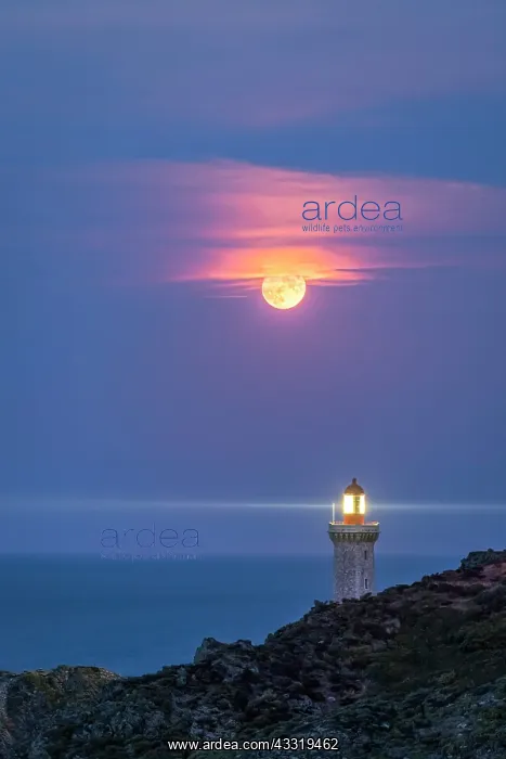 : Full moon over the Bsar lighthouse, Pyrsnses-Ori : Full moon over the Bsar lighthouse, Pyrsnses-Ori