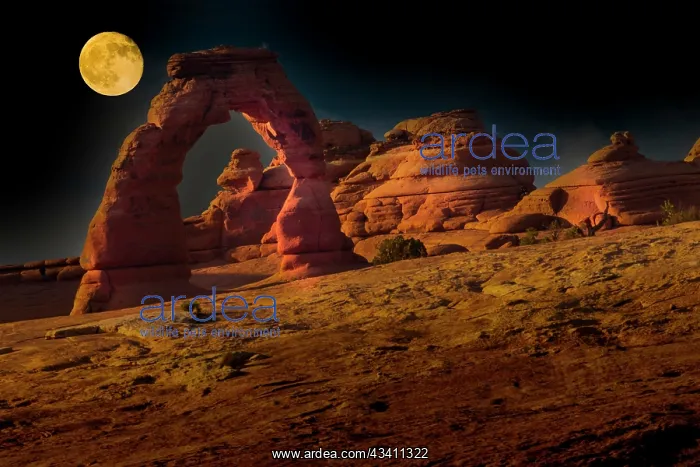 : Full moon over Delicate Arch. Arches National Park : Full moon over Delicate Arch. Arches National Park