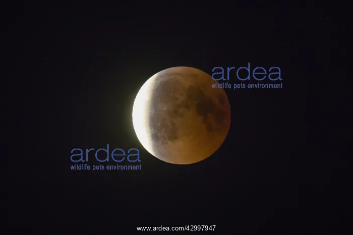 : Moon Eclipse - Moon emerging from Earth's shadow : Moon Eclipse - Moon emerging from Earth's shadow