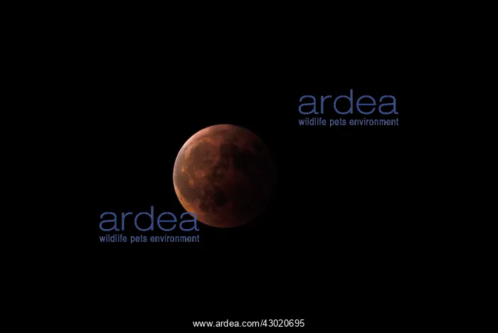 : Moon lunar eclipse : Moon lunar eclipse