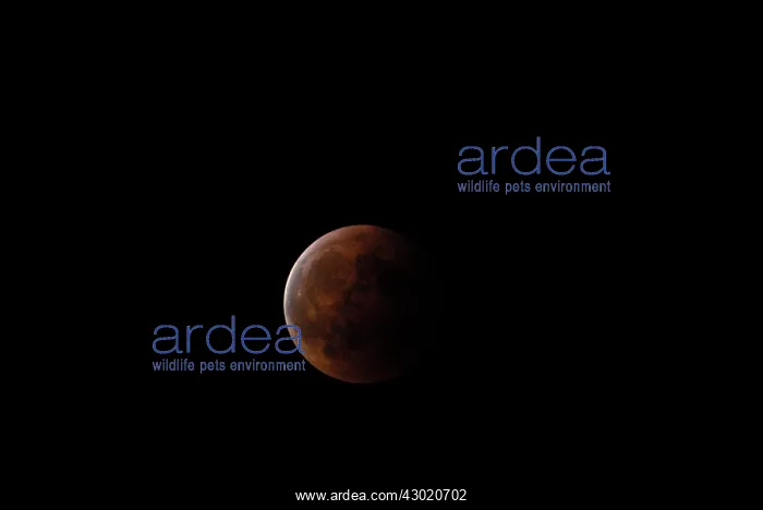 : Moon lunar eclipse : Moon lunar eclipse