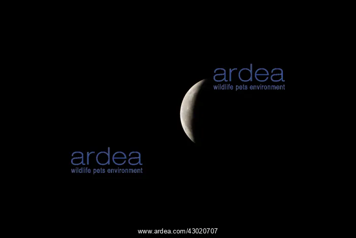 : Moon lunar eclipse : Moon lunar eclipse