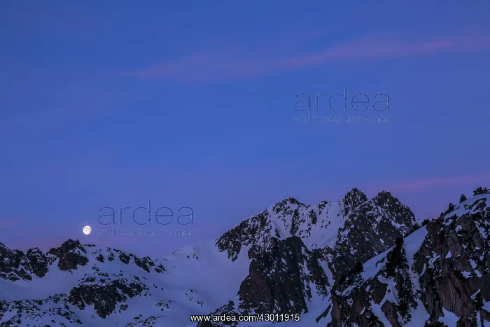 : Moon over the mountains at sunrise : Moon over the mountains at sunrise