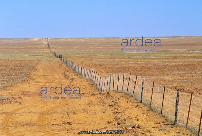 : Moon Plain & Dog Fence Coober Pedy : Moon Plain & Dog Fence Coober Pedy