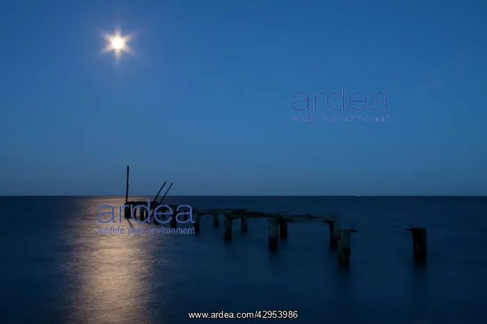 : Moon over sea - long exposure image of the moon : Moon over sea - long exposure image of the moon