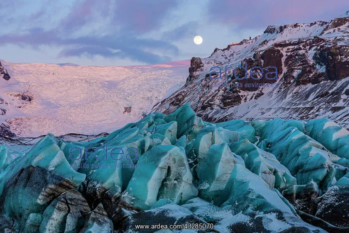 : Full moon over Svinafellsj&, x1abd6c;l, Skaftafell : Full moon over Svinafellsj&, x1abd6c;l, Skaftafell