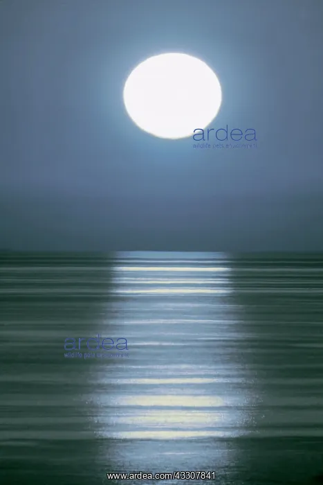  : Moon over water