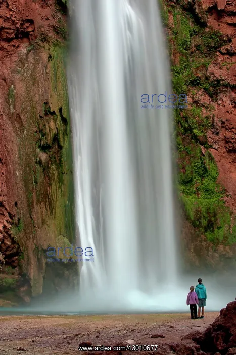 : Mooney Falls / Havasupai Falls with tourists (Kennedy : Mooney Falls / Havasupai Falls with tourists (Kennedy