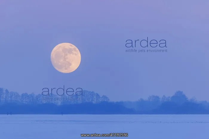  : Moonrise over the Dammer, Oldenburger Mansterland