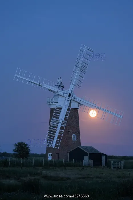 : Moonrise at Horsey Mill - Norfolk Broads UK : Moonrise at Horsey Mill - Norfolk Broads UK