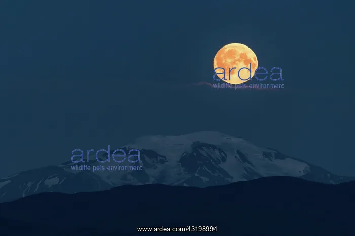 : Moonrise over Sn~fell Volcano, Eastern Highlands : Moonrise over Sn~fell Volcano, Eastern Highlands