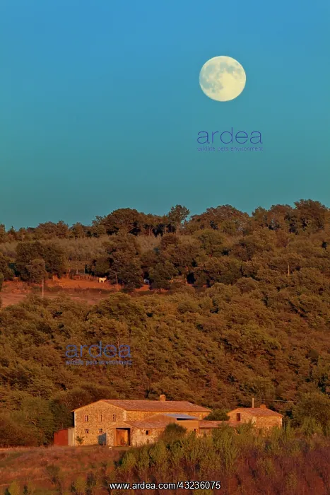 : Moonrise at sunset, San Quirico d'Orcia : Moonrise at sunset, San Quirico d'Orcia