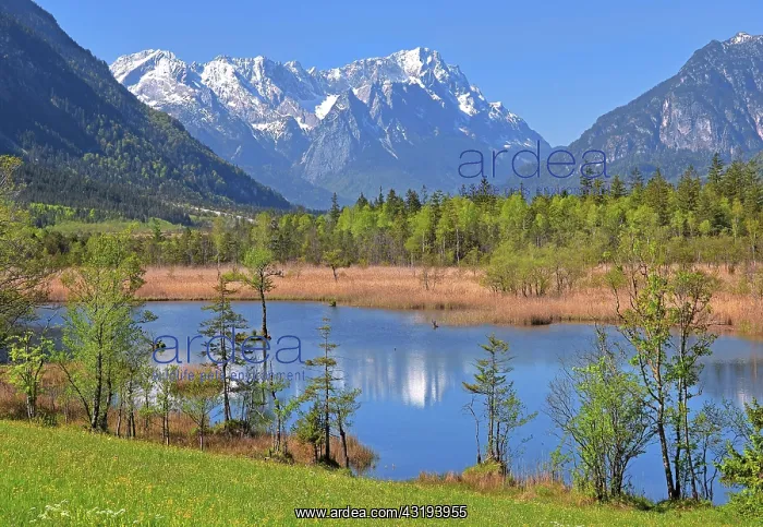: Moor landscape near the Seven Springs towards the : Moor landscape near the Seven Springs towards the
