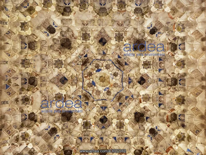 : Moorish Decoration : Moorish Decoration