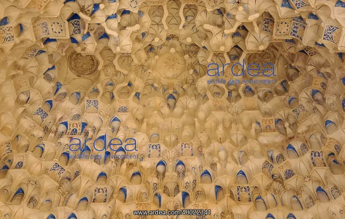 : Moorish Mocarabe Decoration : Moorish Mocarabe Decoration