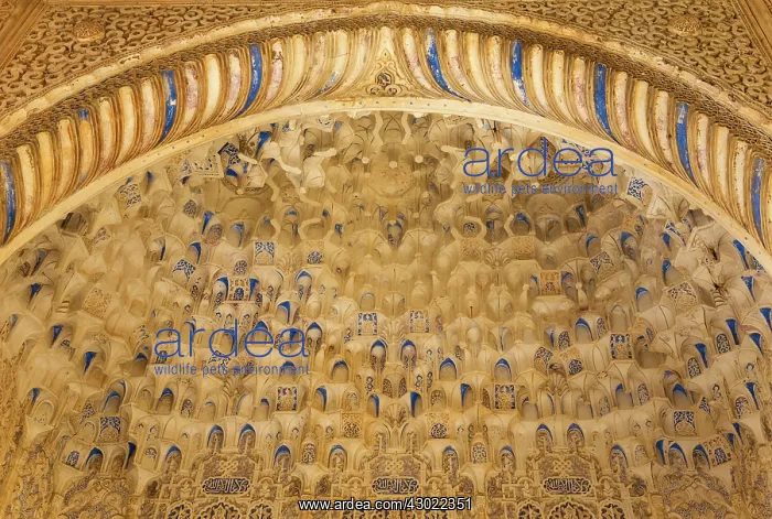 : Moorish Mocarabe Decoration : Moorish Mocarabe Decoration
