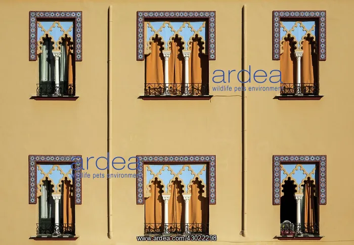 : Moorish style Facade : Moorish style Facade