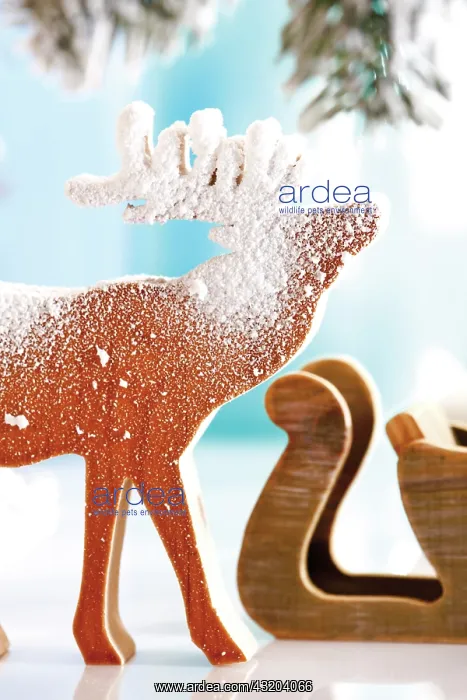 : Moose, reindeer, made of wood, covered with snow : Moose, reindeer, made of wood, covered with snow