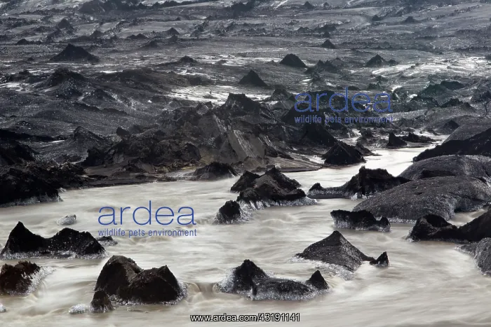 : moraine of a glacier, Iceland, Skaftafell : moraine of a glacier, Iceland, Skaftafell