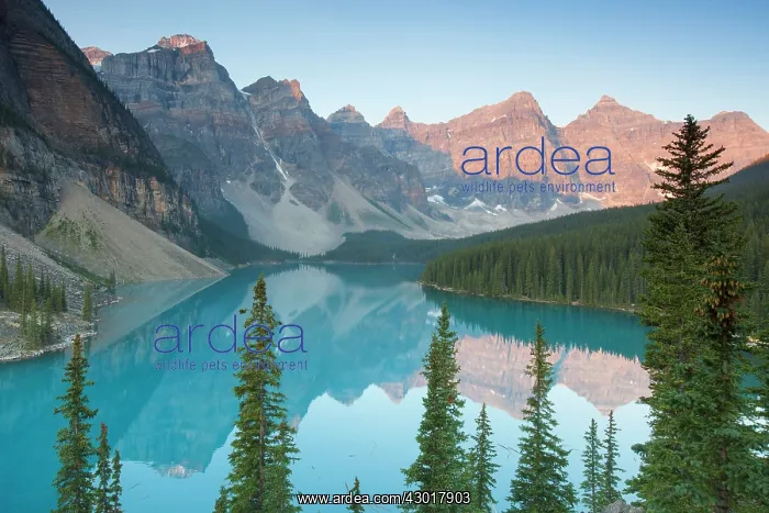 : Moraine Lake in the Valley of the Ten Peaks : Moraine Lake in the Valley of the Ten Peaks