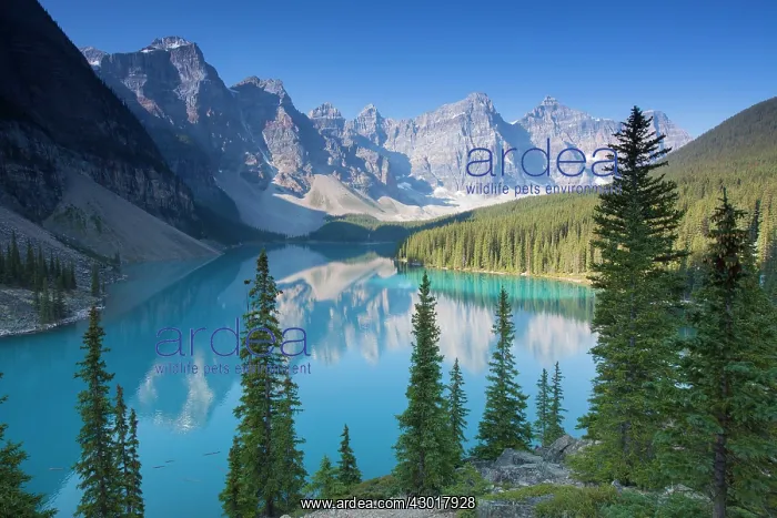 : Moraine Lake in the Valley of the Ten Peaks : Moraine Lake in the Valley of the Ten Peaks