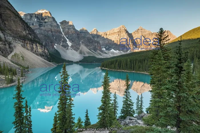  : Moraine Lake, Valley of the Ten Peaks, Canadian