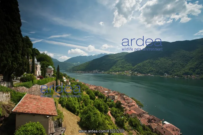 : Morcote town on Lake Lugano, Ticino Canton : Morcote town on Lake Lugano, Ticino Canton
