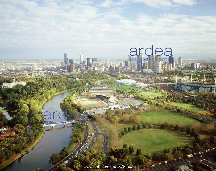  : Morell Bridge, Olympic Park National Tennis Centre