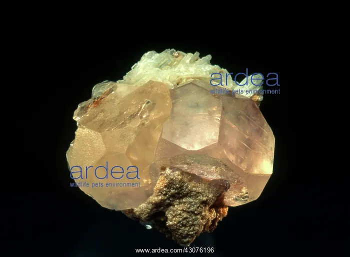 : Morganite Beryl : Morganite Beryl