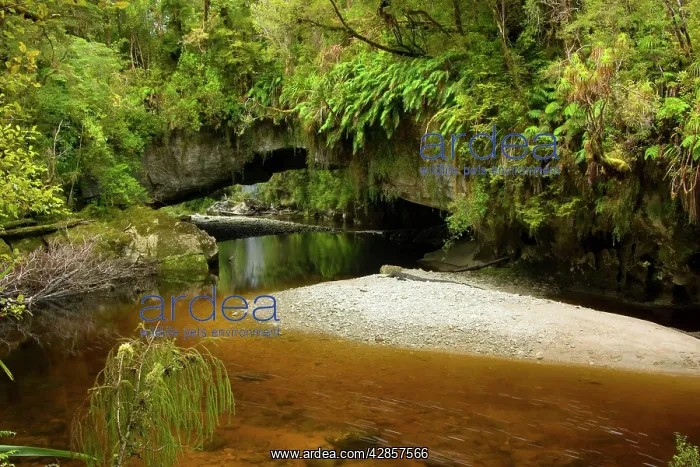 : Moria Gate Arch - and picturesque Oparara river : Moria Gate Arch - and picturesque Oparara river
