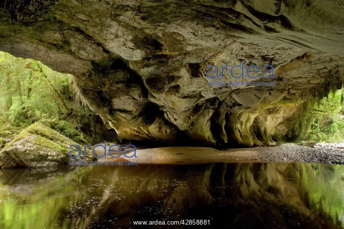 : Moria Gate Arch - and picturesque Oparara river : Moria Gate Arch - and picturesque Oparara river
