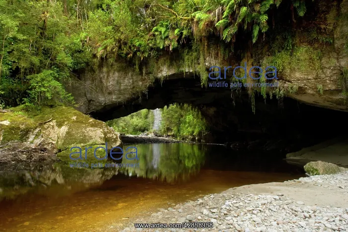 : Moria Gate Arch - and picturesque Oparara river : Moria Gate Arch - and picturesque Oparara river