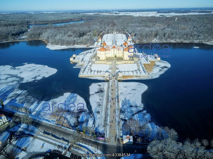 : Moritzburg Baroque Palace in Winter : Moritzburg Baroque Palace in Winter